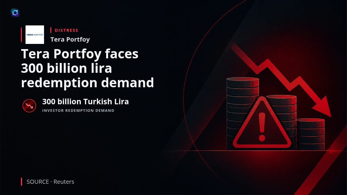 Tera Portfoy investor fund redemptions amid regulatory intervention and liquidation oversight in Turkey.